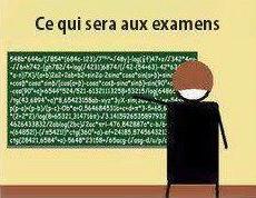 ce qui sera demandé aux examens