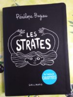 BD Les Strates de Penelope Bagieu